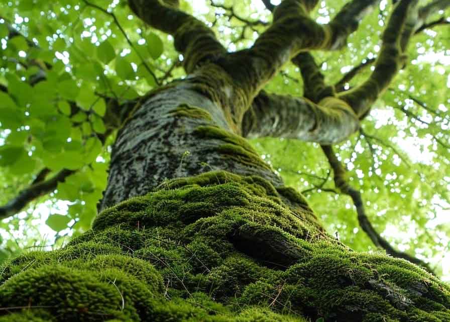 My Background My Background